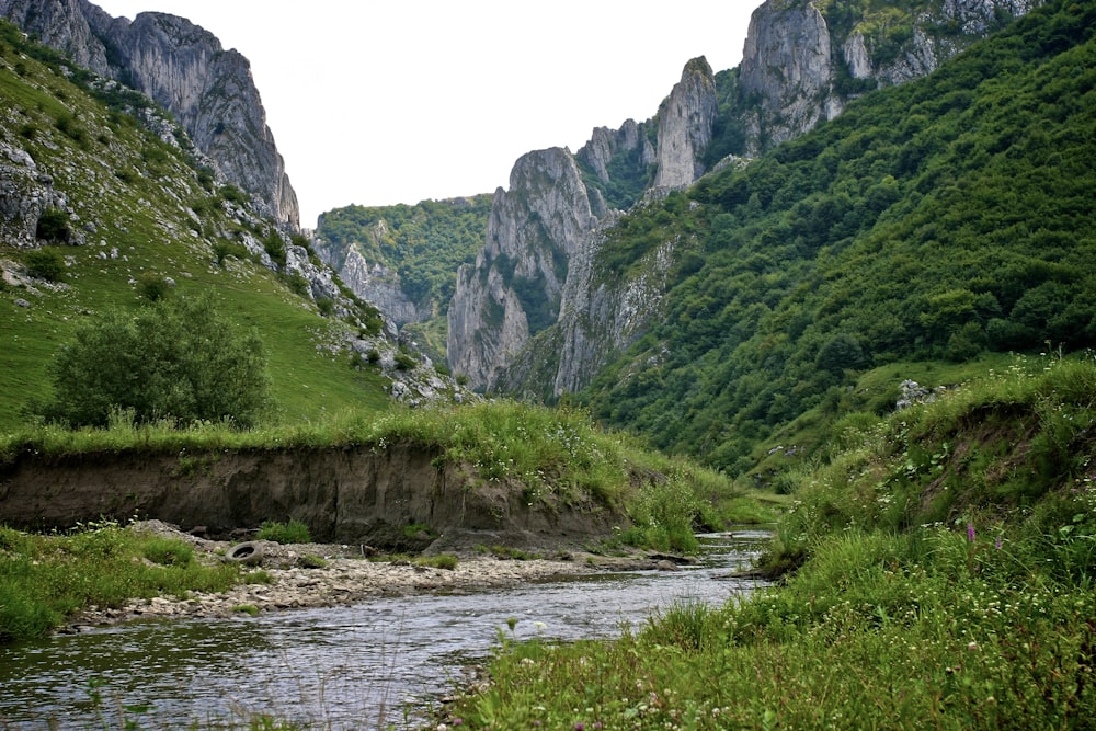 green and gray mountain beside river during daytime
