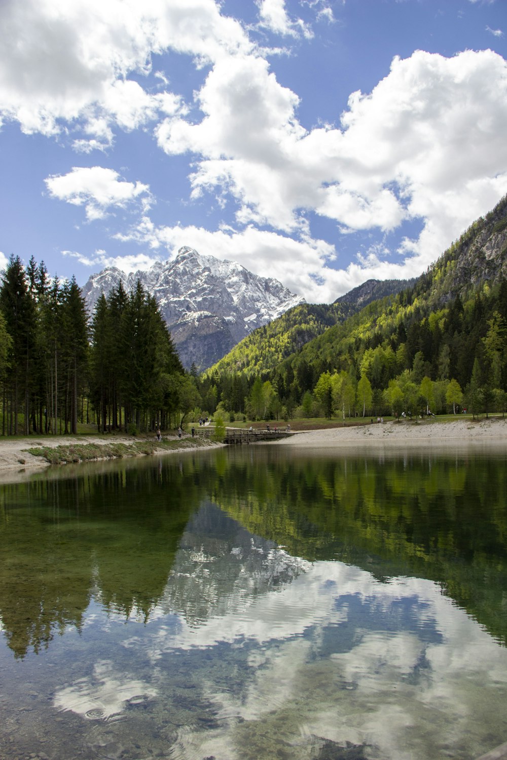 green trees near lake under blue sky during daytime