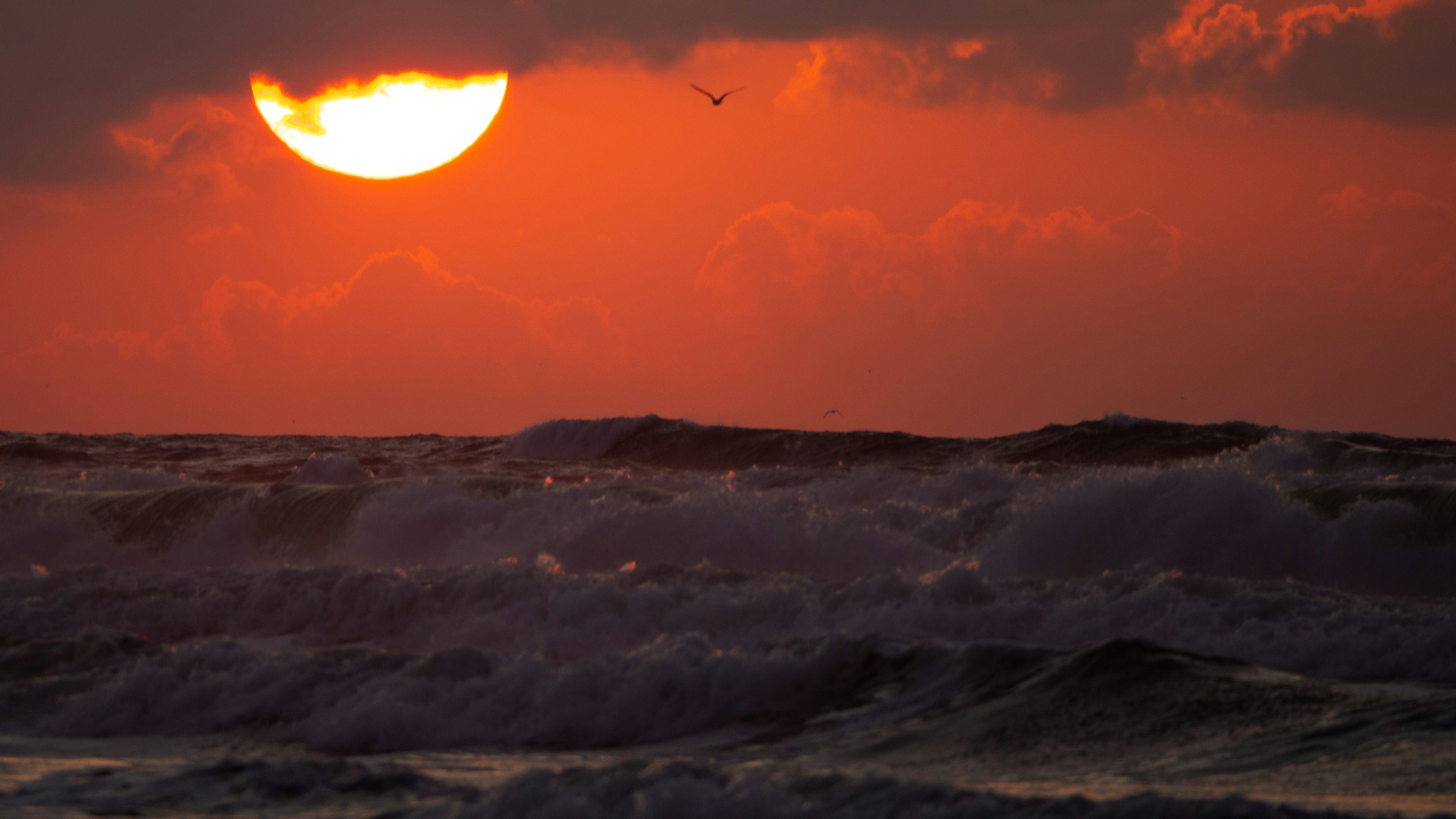 Photo by wimvanteinde