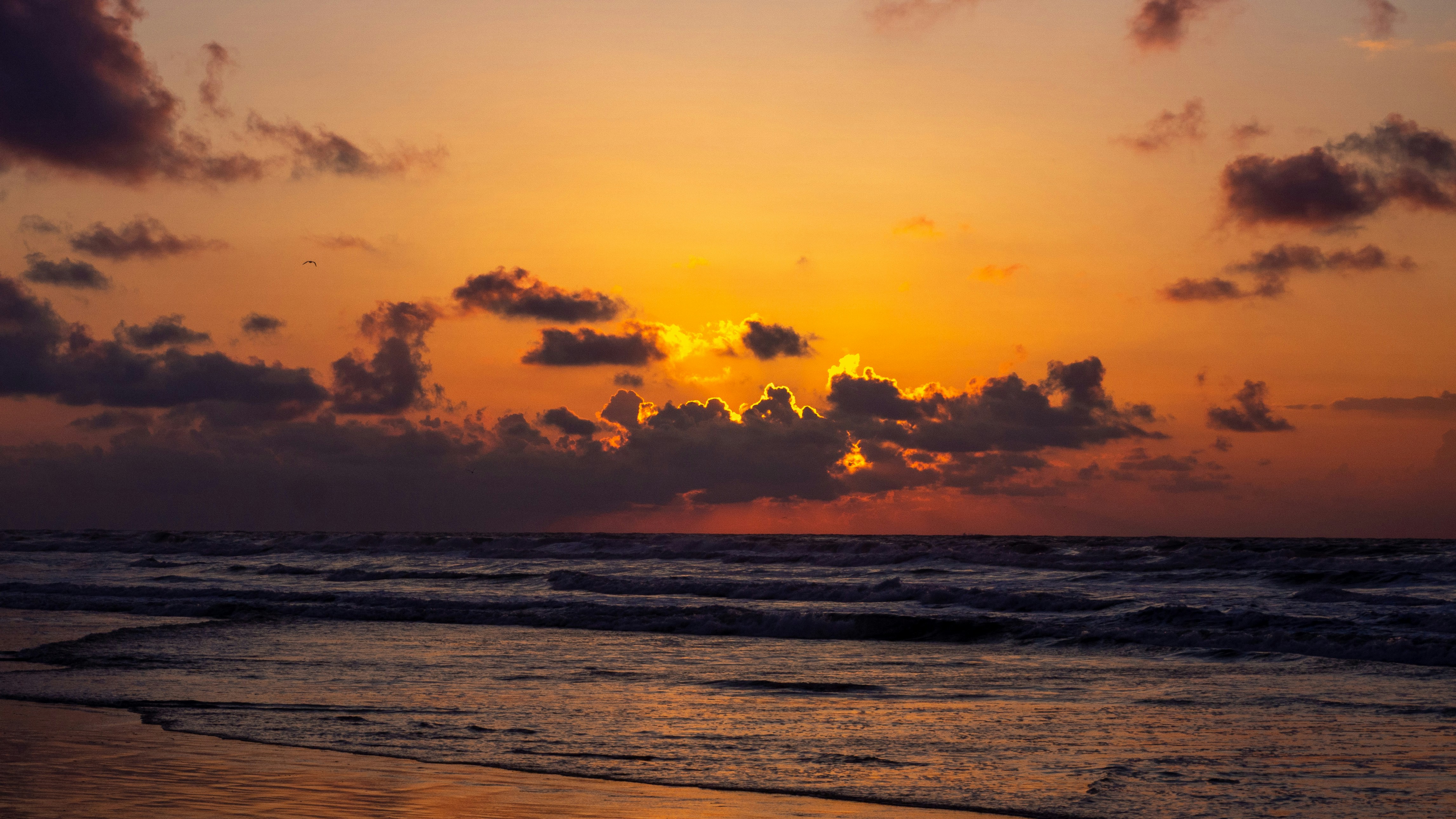 Photo by wimvanteinde