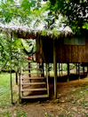 A rustic wooden cabin elevated on stilts in a lush green forested area. The cabin has a thatched roof and a set of wooden stairs leading up to a small porch. A hammock is hanging on the porch, surrounded by dense foliage and trees.