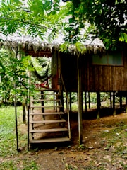 A rustic wooden cabin elevated on stilts in a lush green forested area. The cabin has a thatched roof and a set of wooden stairs leading up to a small porch. A hammock is hanging on the porch, surrounded by dense foliage and trees.