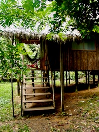 Private porch of the forest cabin with a hammock and forest views.
