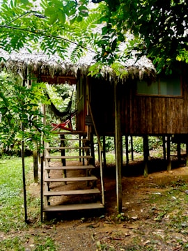 A rustic wooden cabin elevated on stilts in a lush green forested area. The cabin has a thatched roof and a set of wooden stairs leading up to a small porch. A hammock is hanging on the porch, surrounded by dense foliage and trees.