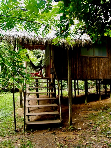 Spacious family cabin with hammock on the porch at La Agustina Ecolodge.