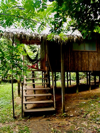 A rustic wooden cabin elevated on stilts in a lush green forested area. The cabin has a thatched roof and a set of wooden stairs leading up to a small porch. A hammock is hanging on the porch, surrounded by dense foliage and trees.