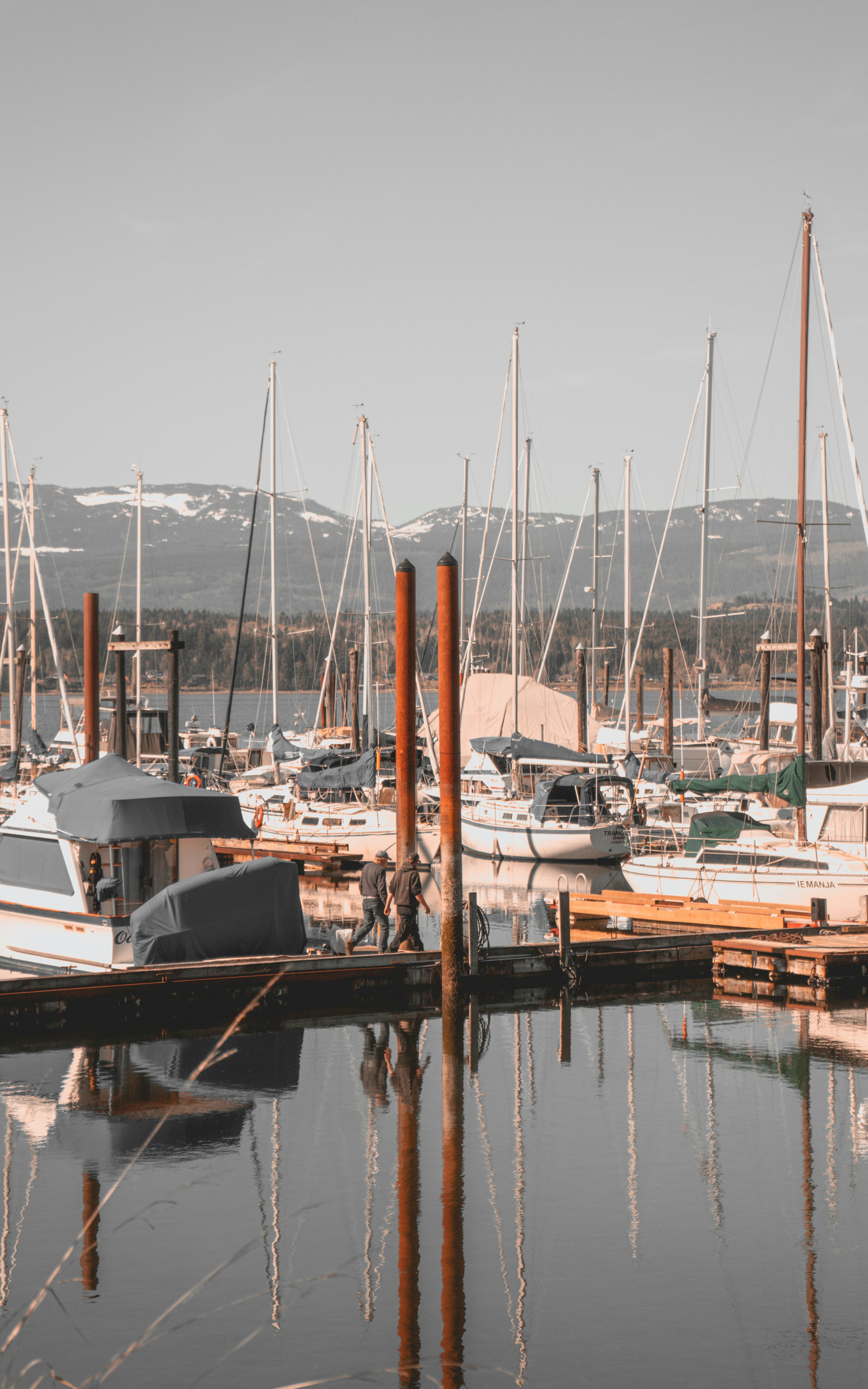 Photo by colefreeman