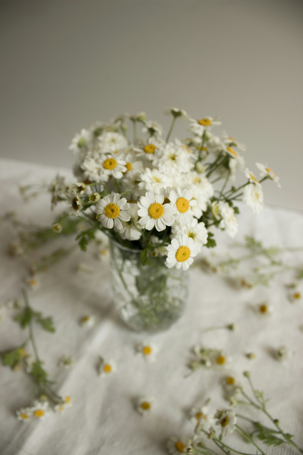 투명 유리 꽃병에 흰 꽃