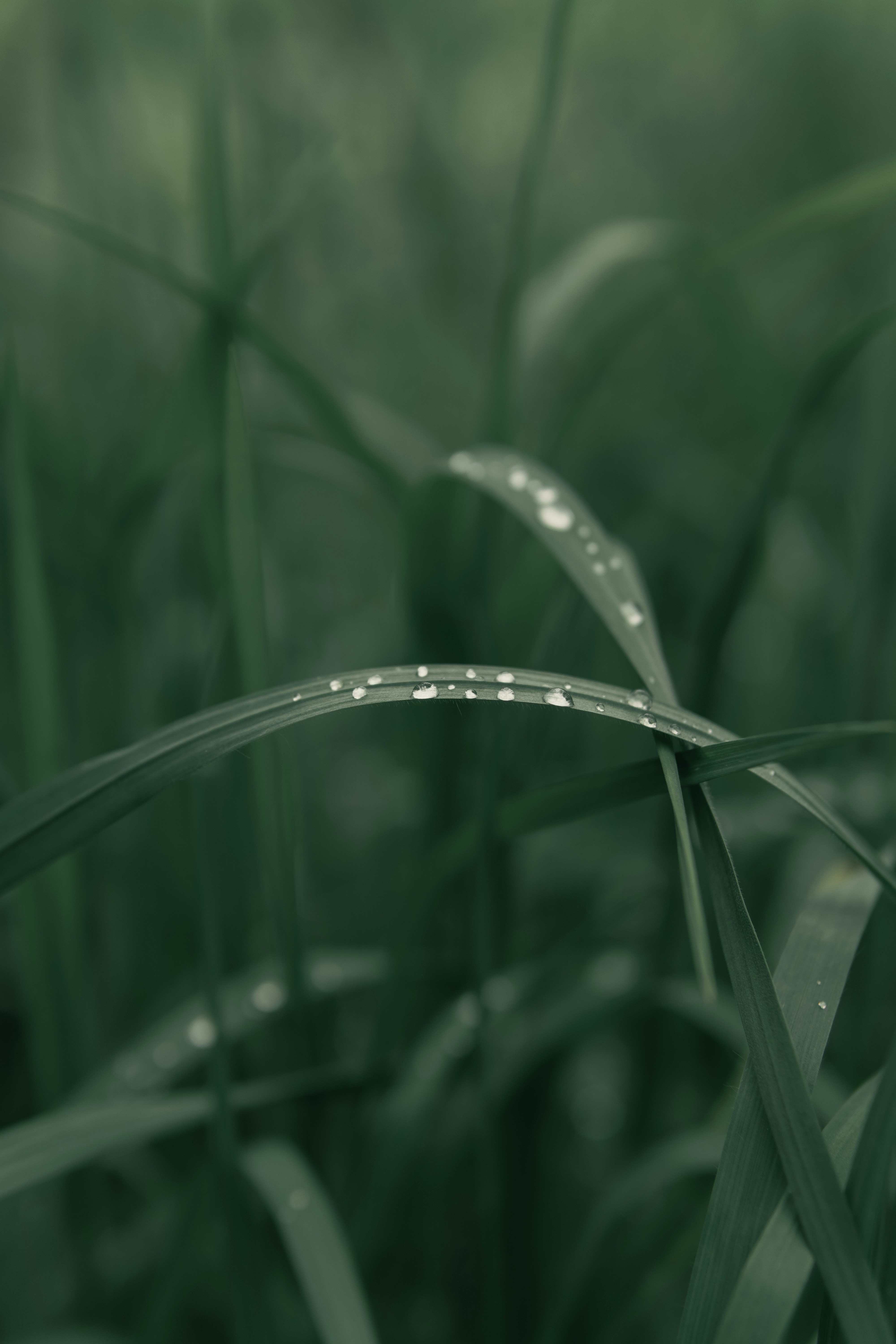 Photo by alessandrocavestro_