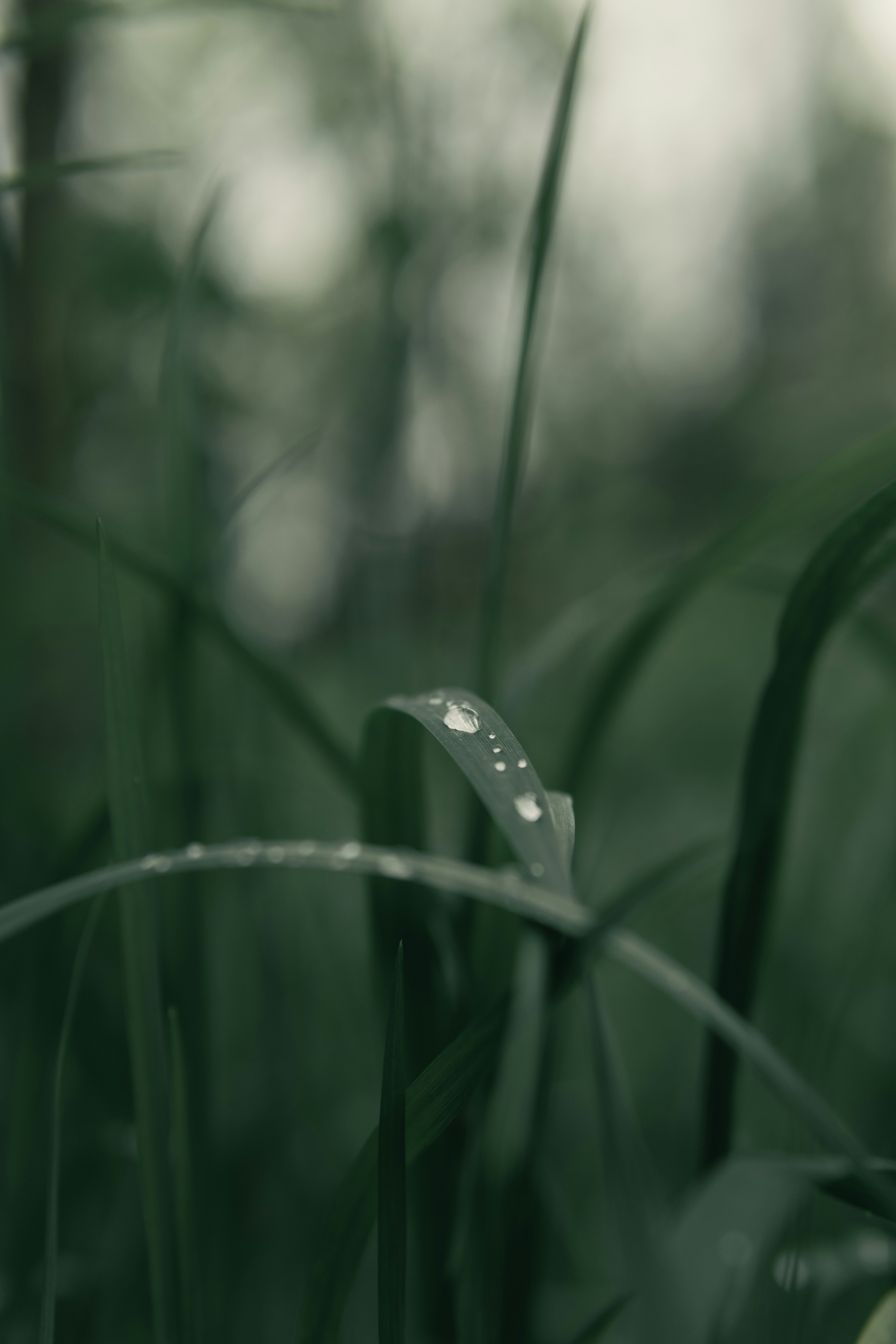 Photo by alessandrocavestro_