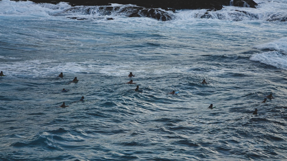 person in body of water during daytime