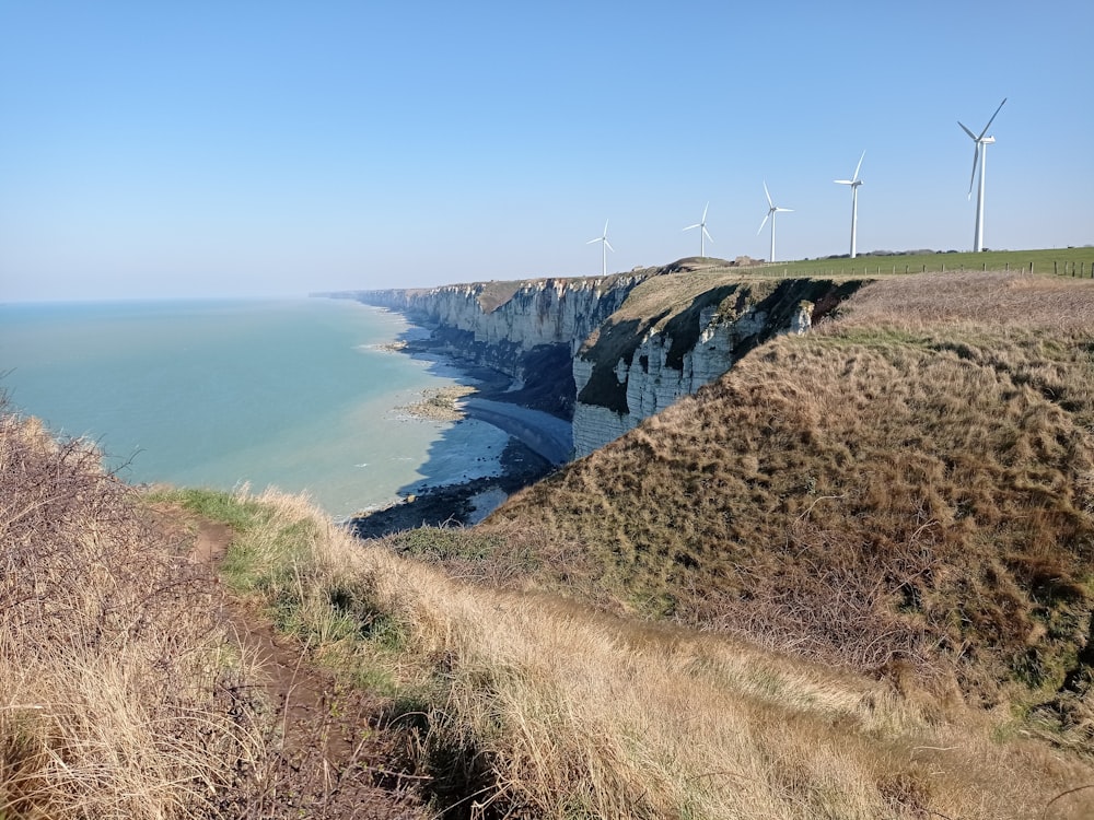 brown grass field near blue sea under blue sky during daytime