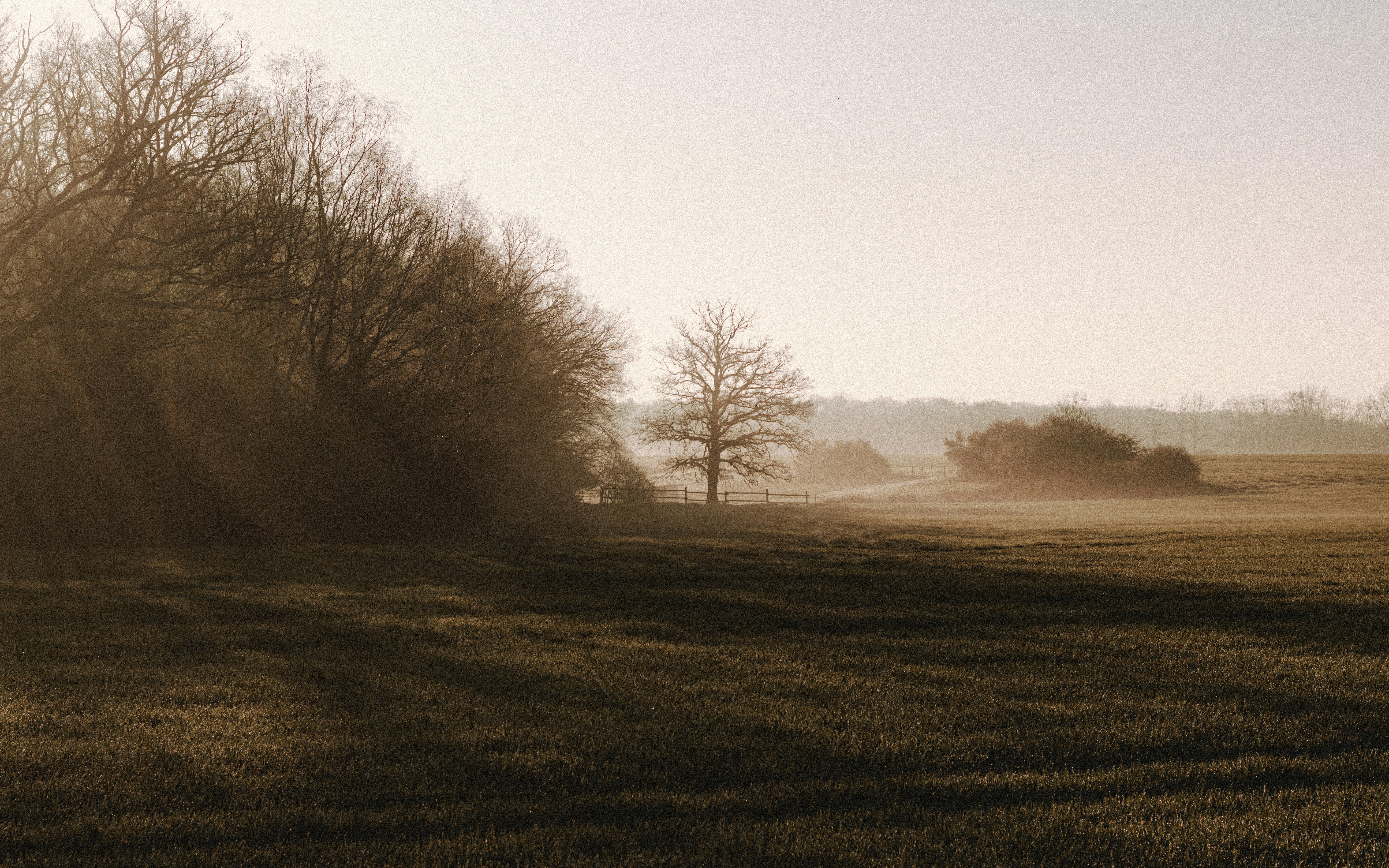 Photo by matreding