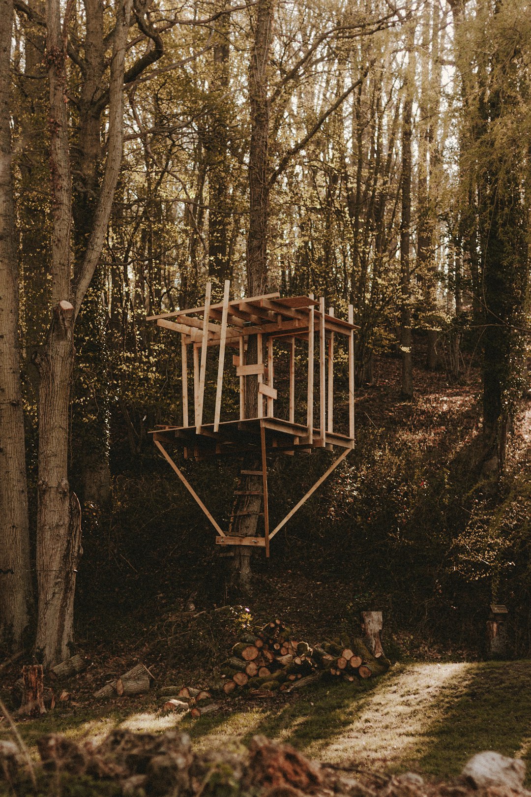 grayscale photo of wooden gazebo in forest