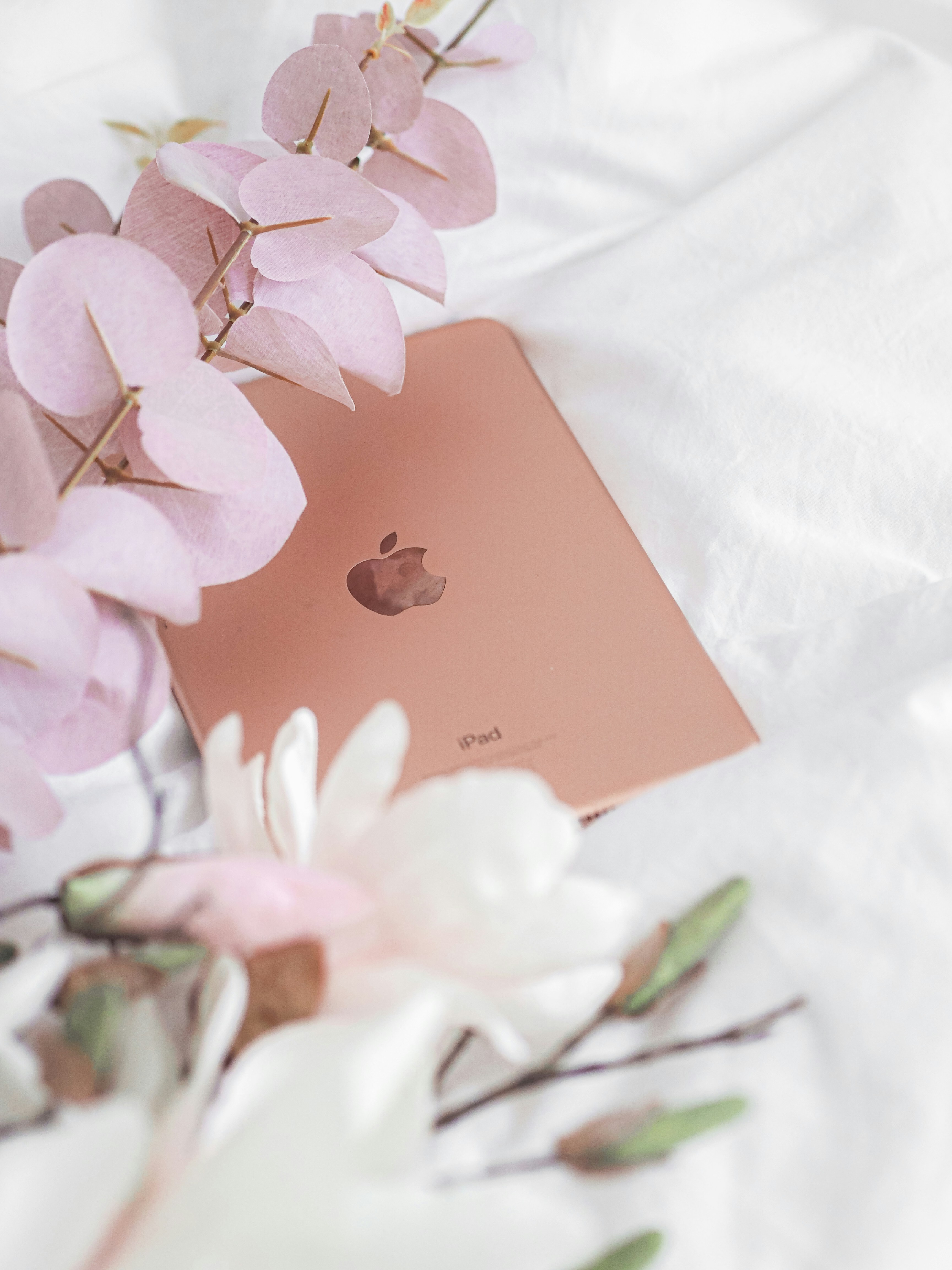 Photo by laurachouette