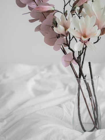 A minimalist bouquet of delicate flowers with soft pink and white petals is arranged in a transparent glass vase. The vase is placed on a white, textured fabric, creating a serene and elegant composition.