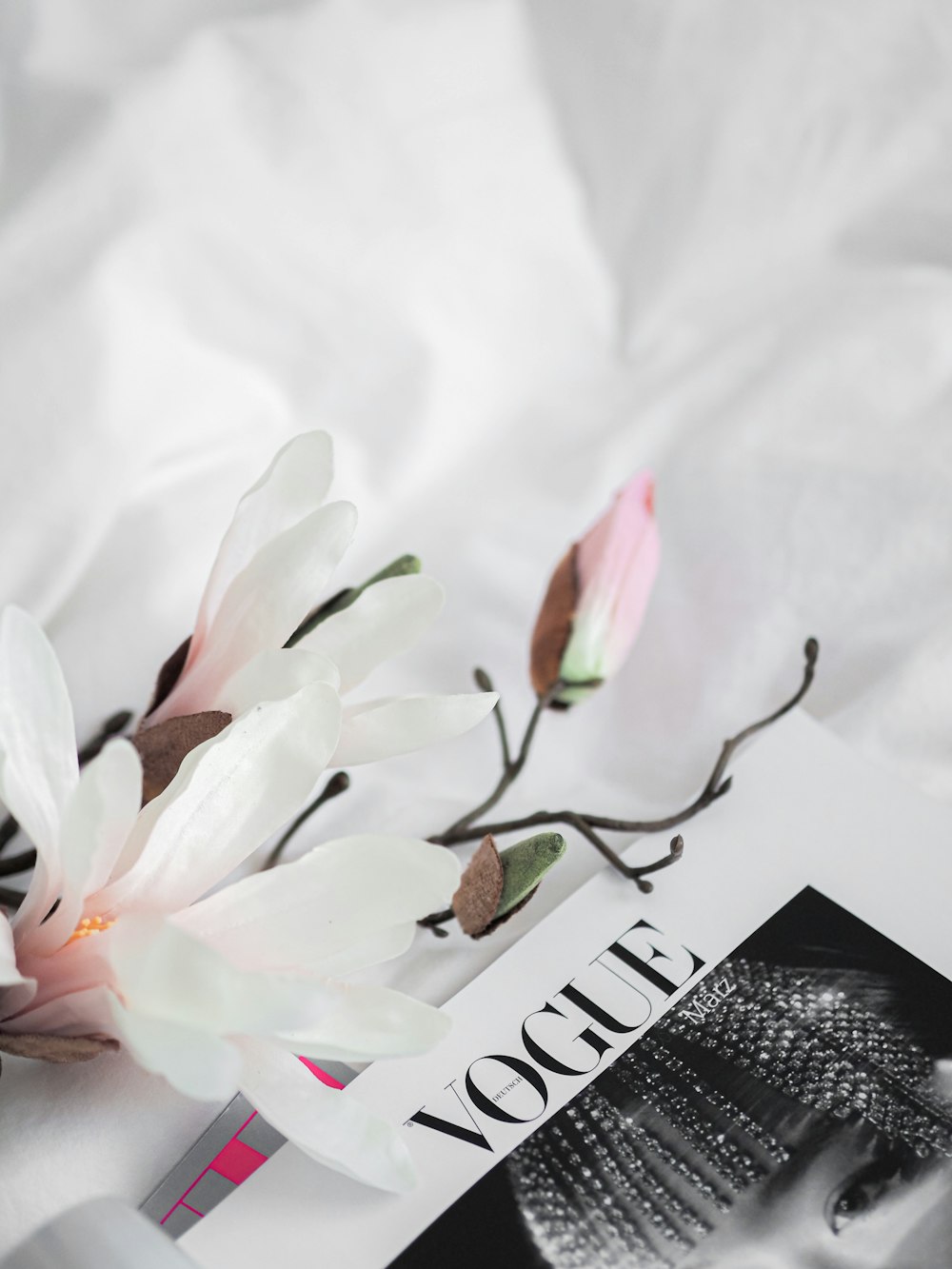 white and pink flower on white paper