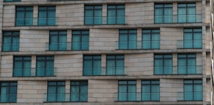 Curtain Wall Window