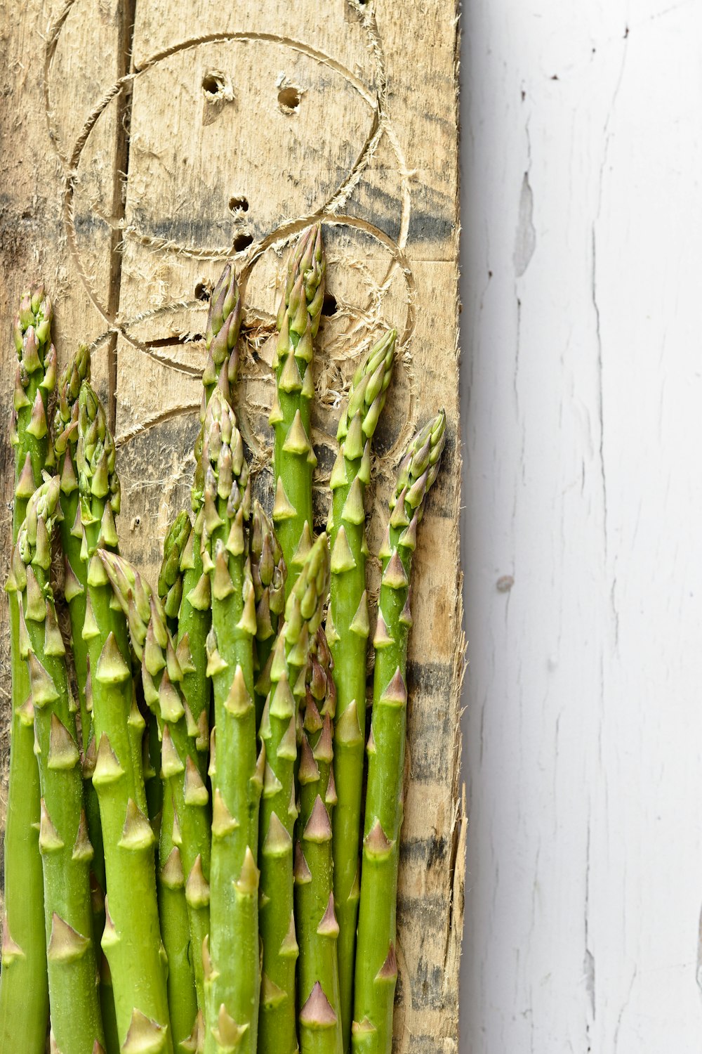 green cactus plant on white wall