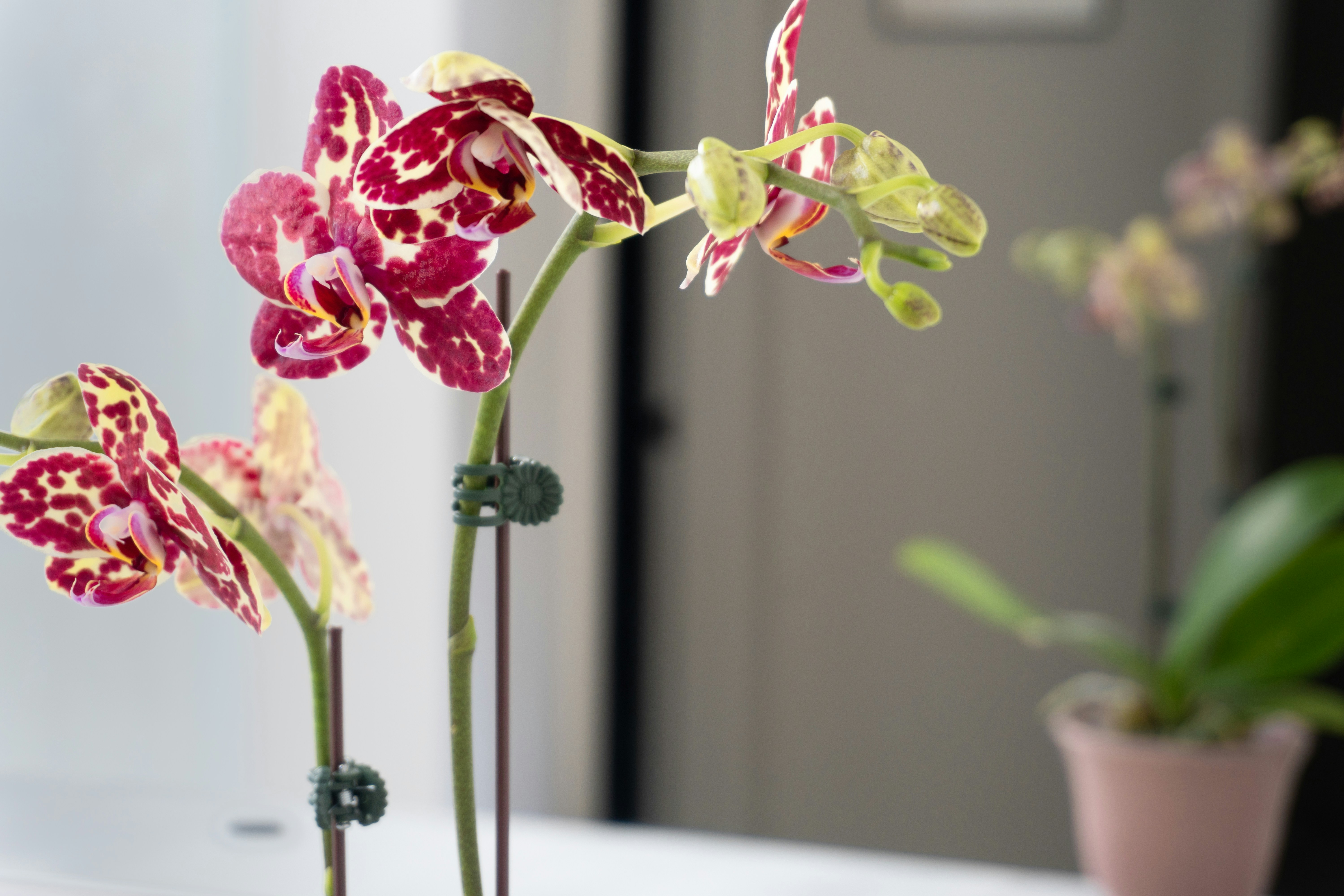 Photo by earl_plannerzone