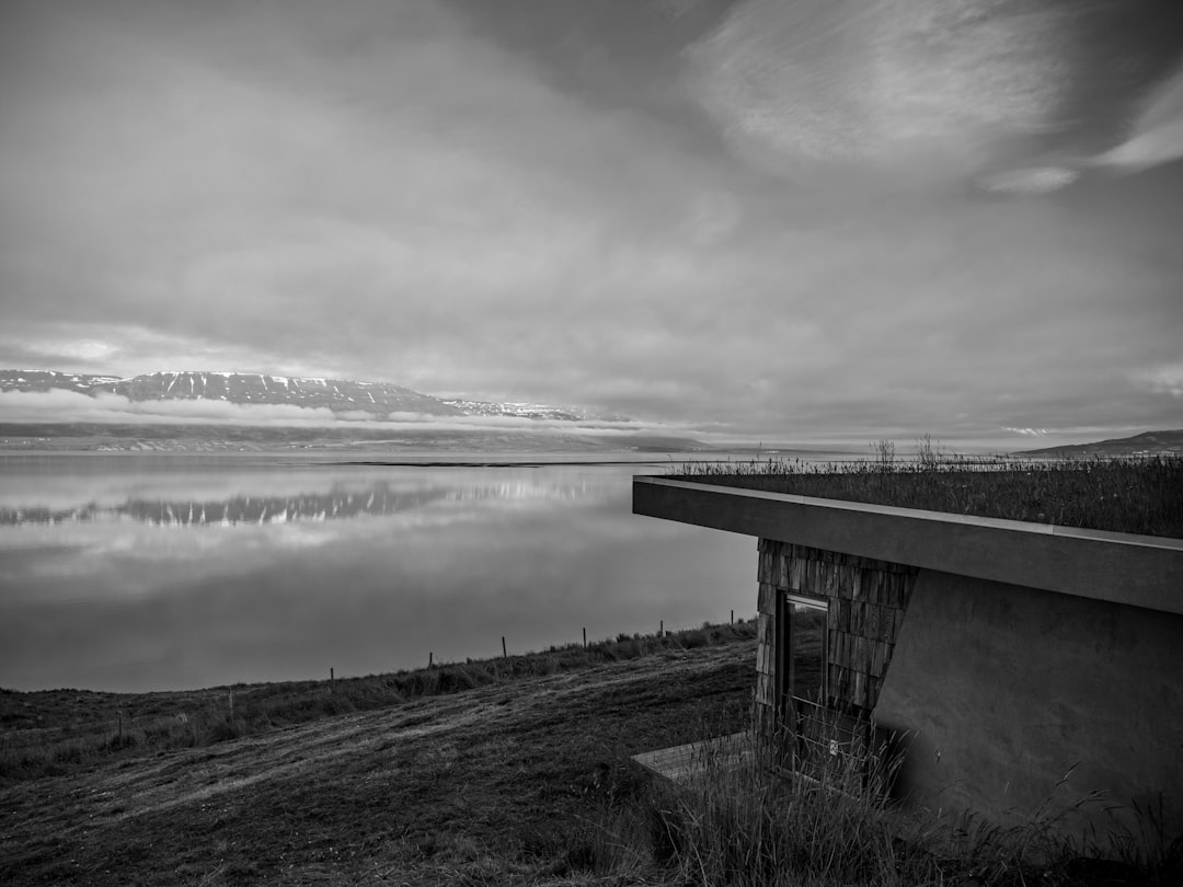 grayscale photo of bridge over river