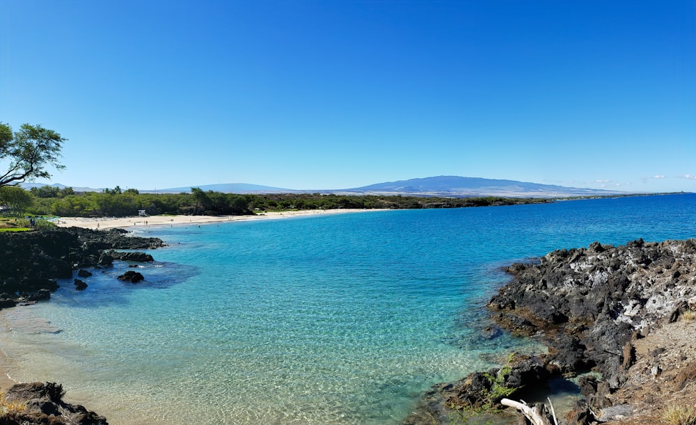 blue sea near green trees under blue sky during daytime