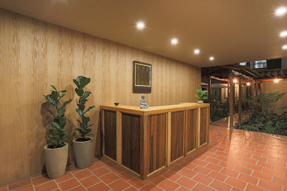 Decorative tropical plant display designed for a stylish office reception area