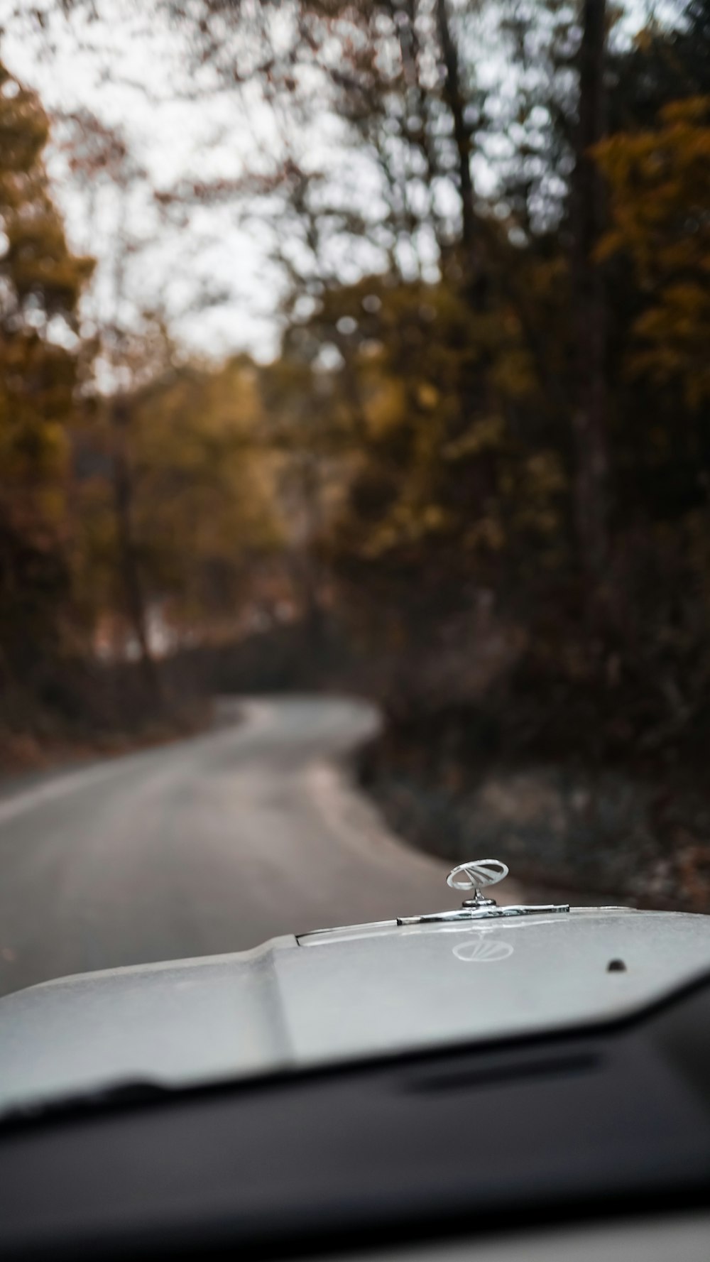 black car on road near trees during daytime