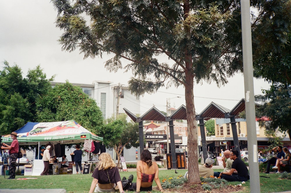 people sitting on green grass field near green trees during daytime