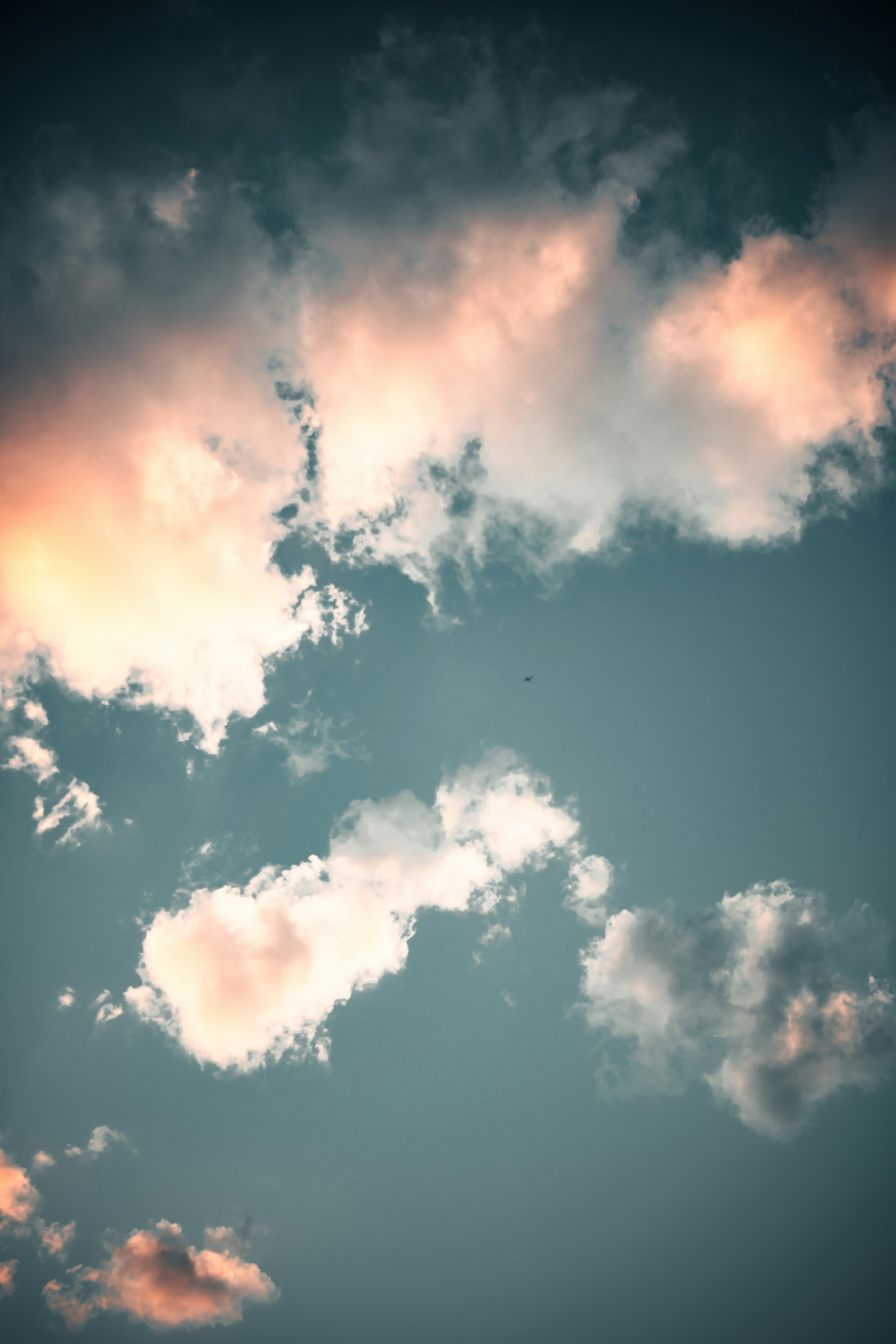 Photo by onthesearchforpineapples