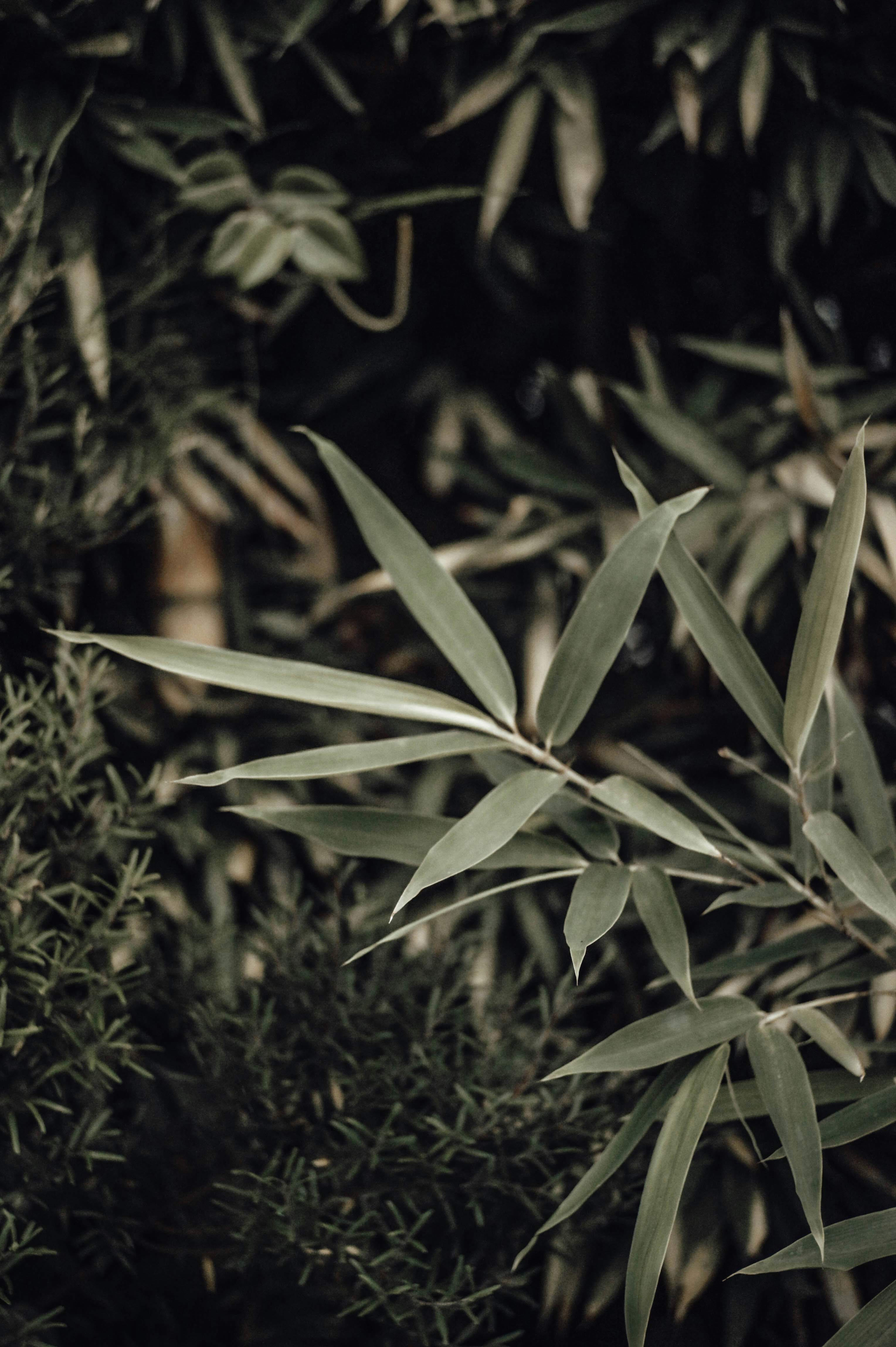 Photo by nathanncosta