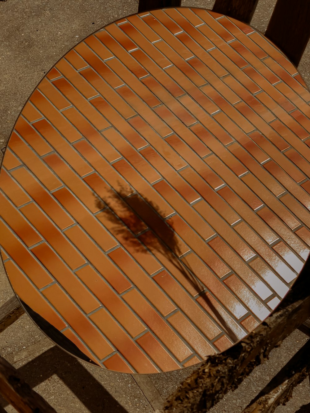 brown insect on brown table