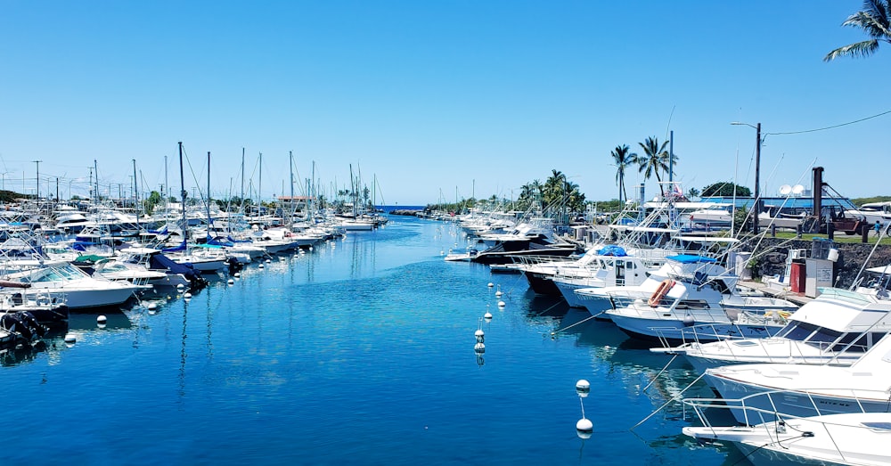 white boats on sea dock during daytime