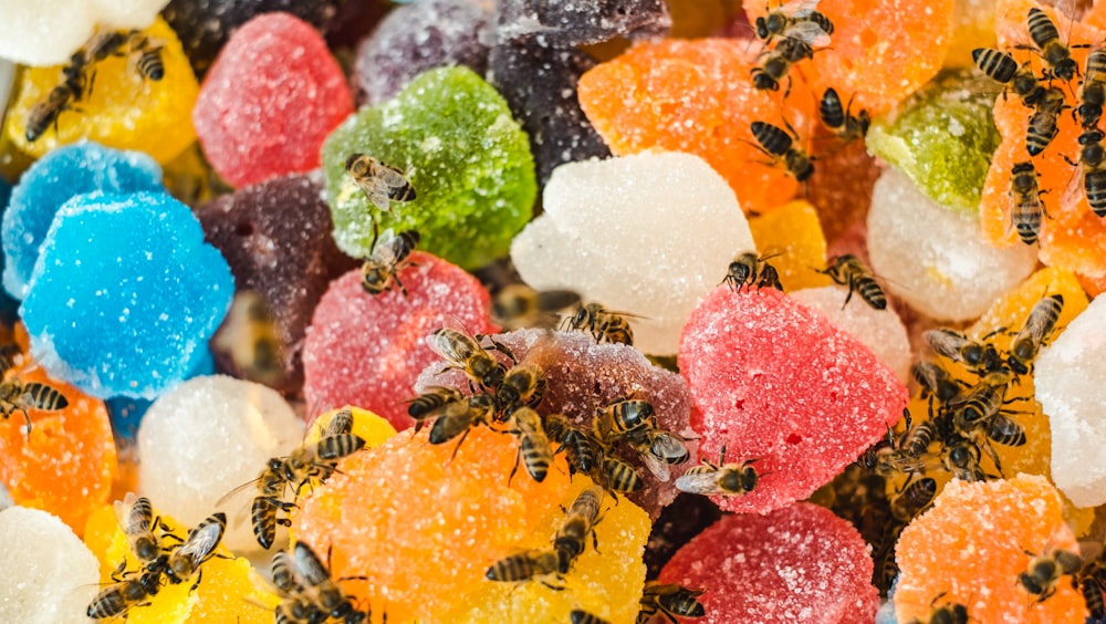 abeja negra y amarilla en pétalos de flores amarillas y rosadas