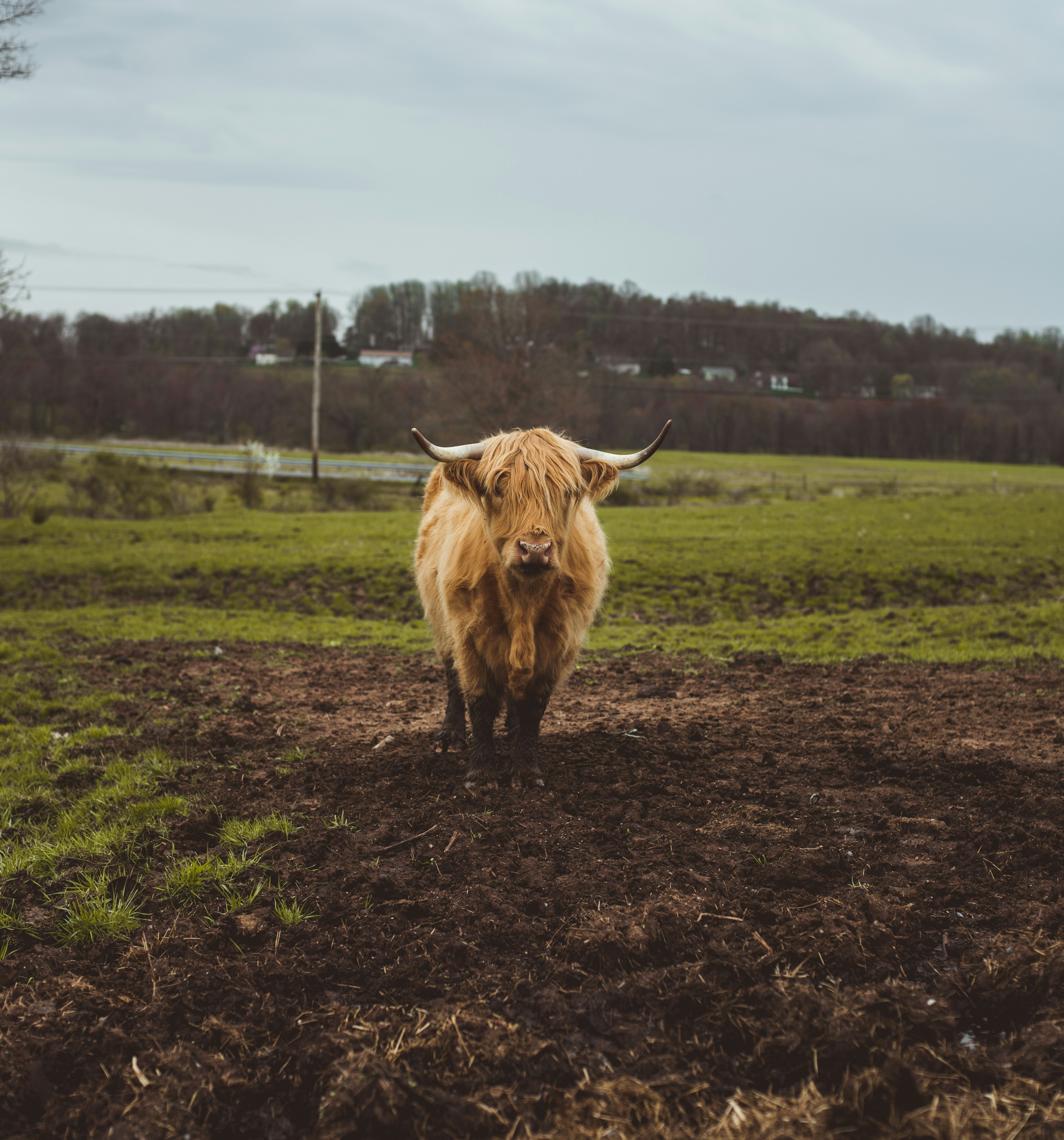 Photo by romandempire