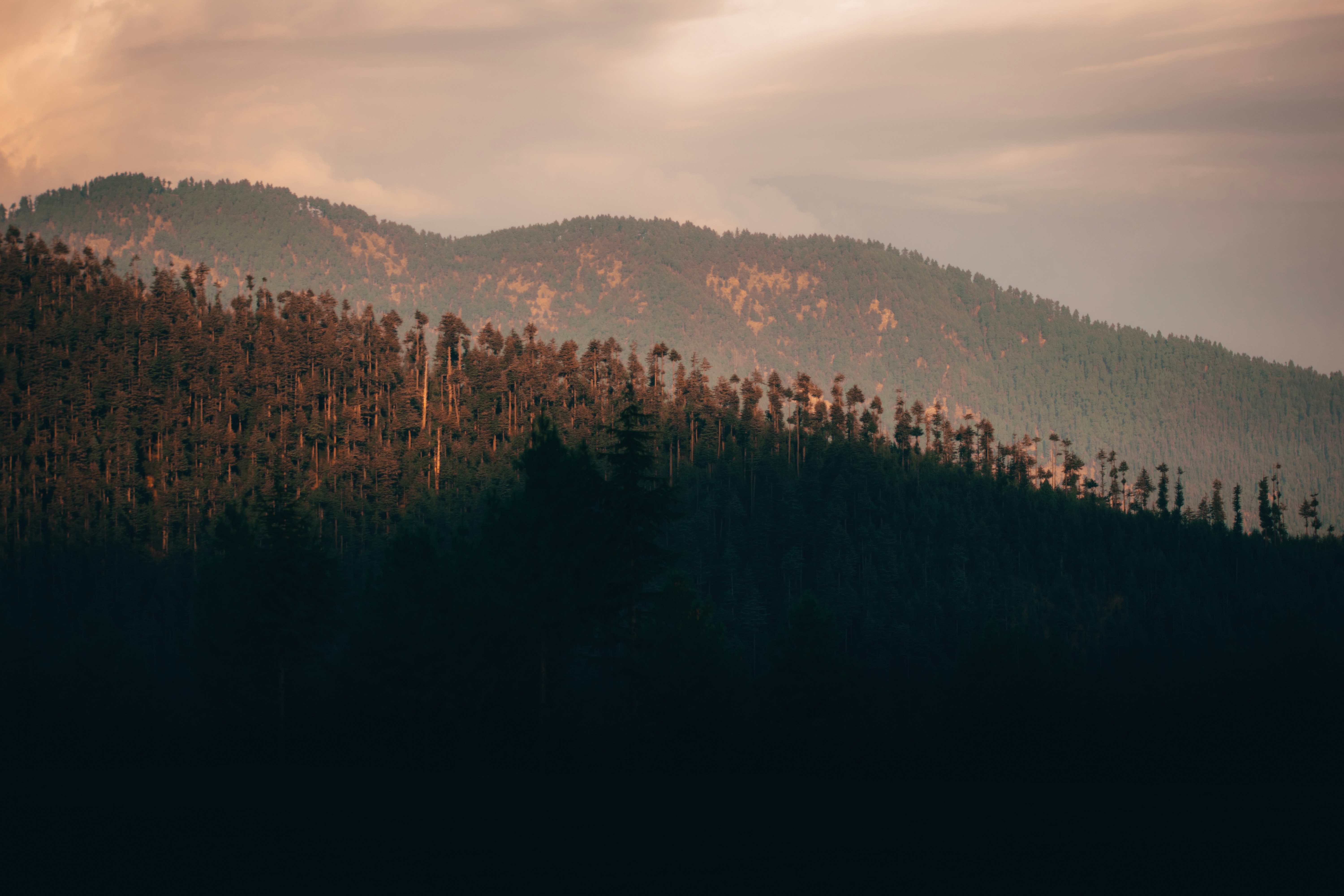 green trees on mountain under cloudy sky during daytime
