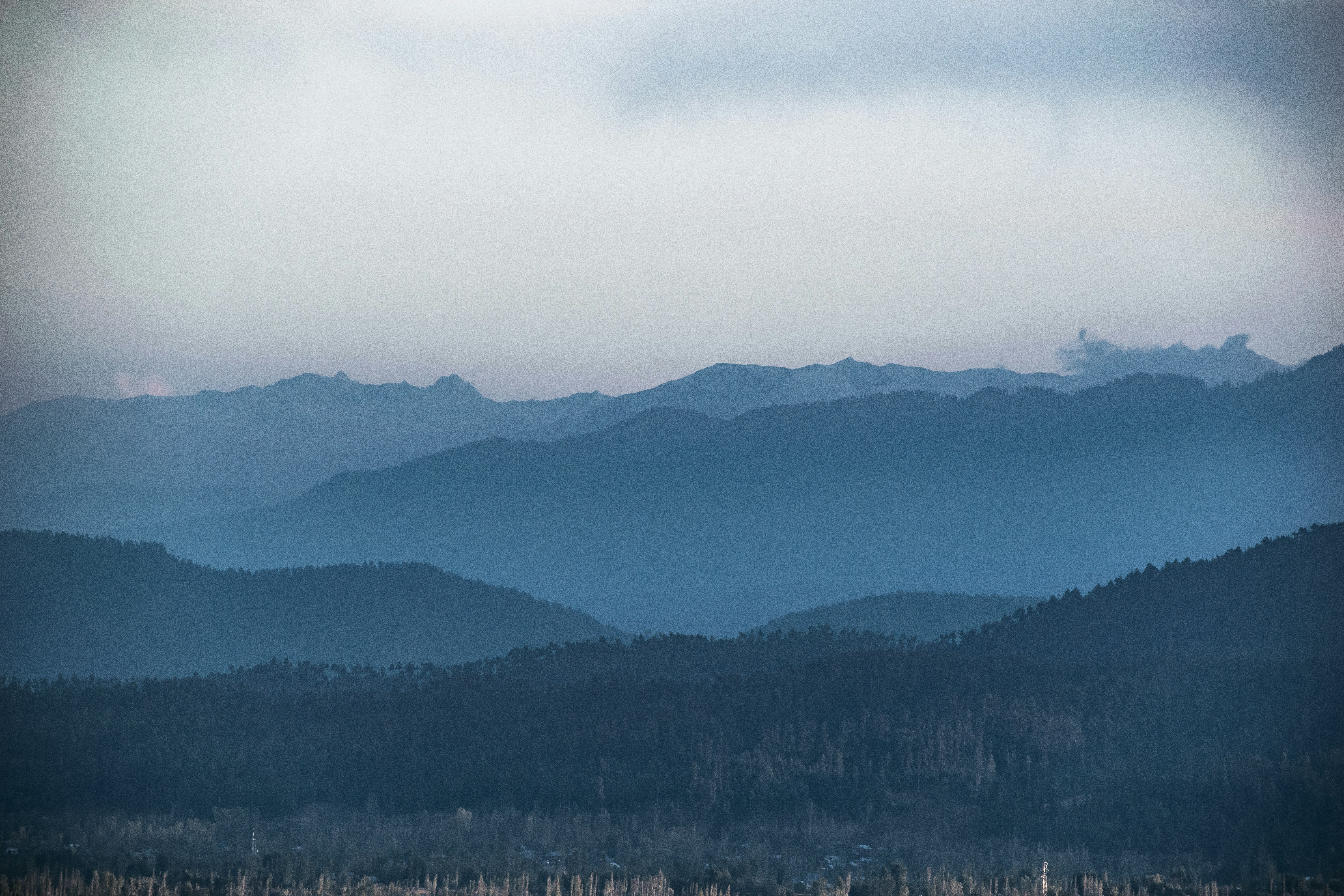 green trees on mountain under white clouds during daytime