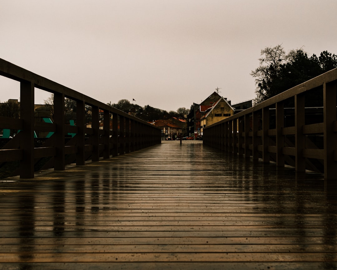 brown wooden bridge over river