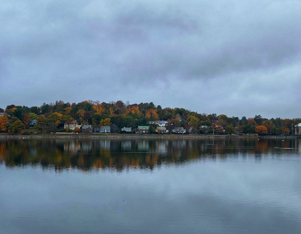 Plan d’eau près des arbres verts sous les nuages blancs pendant la journée