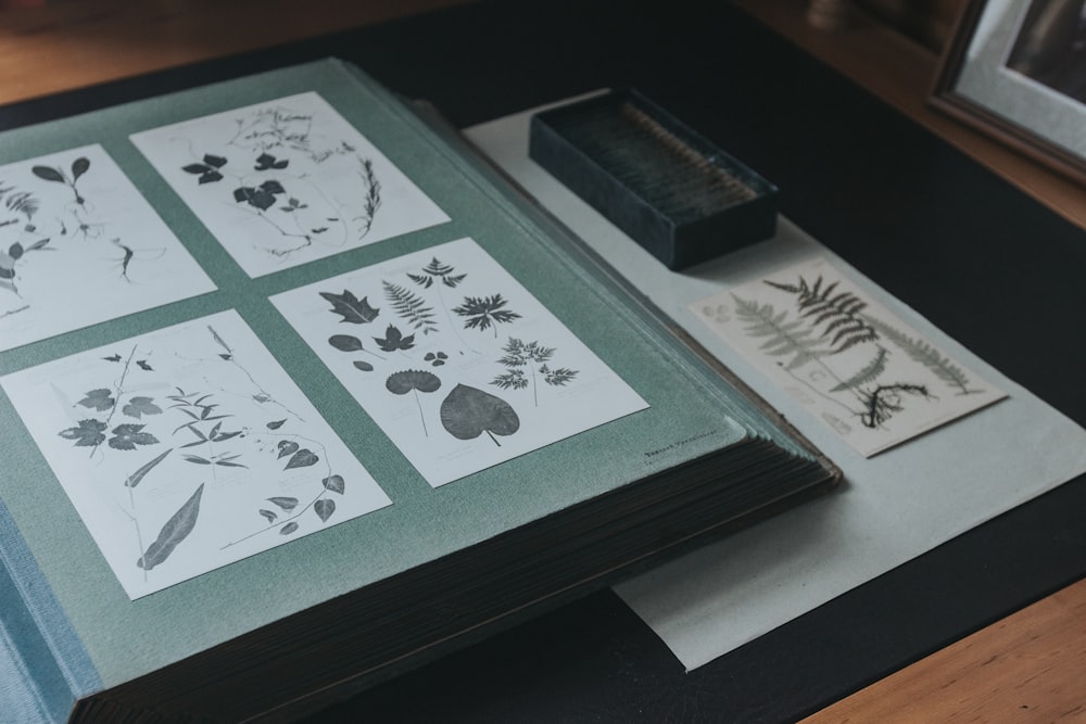 white and green book on black table