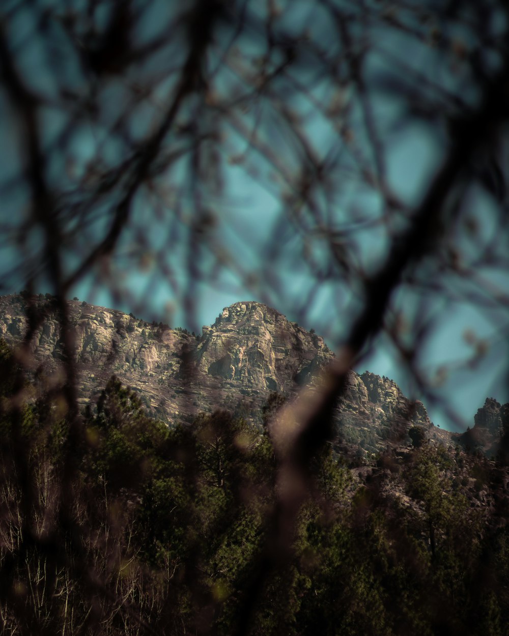 green trees near rocky mountain during daytime