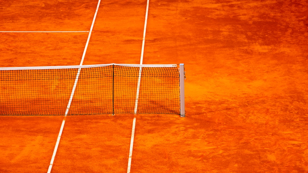 white net on brown floor