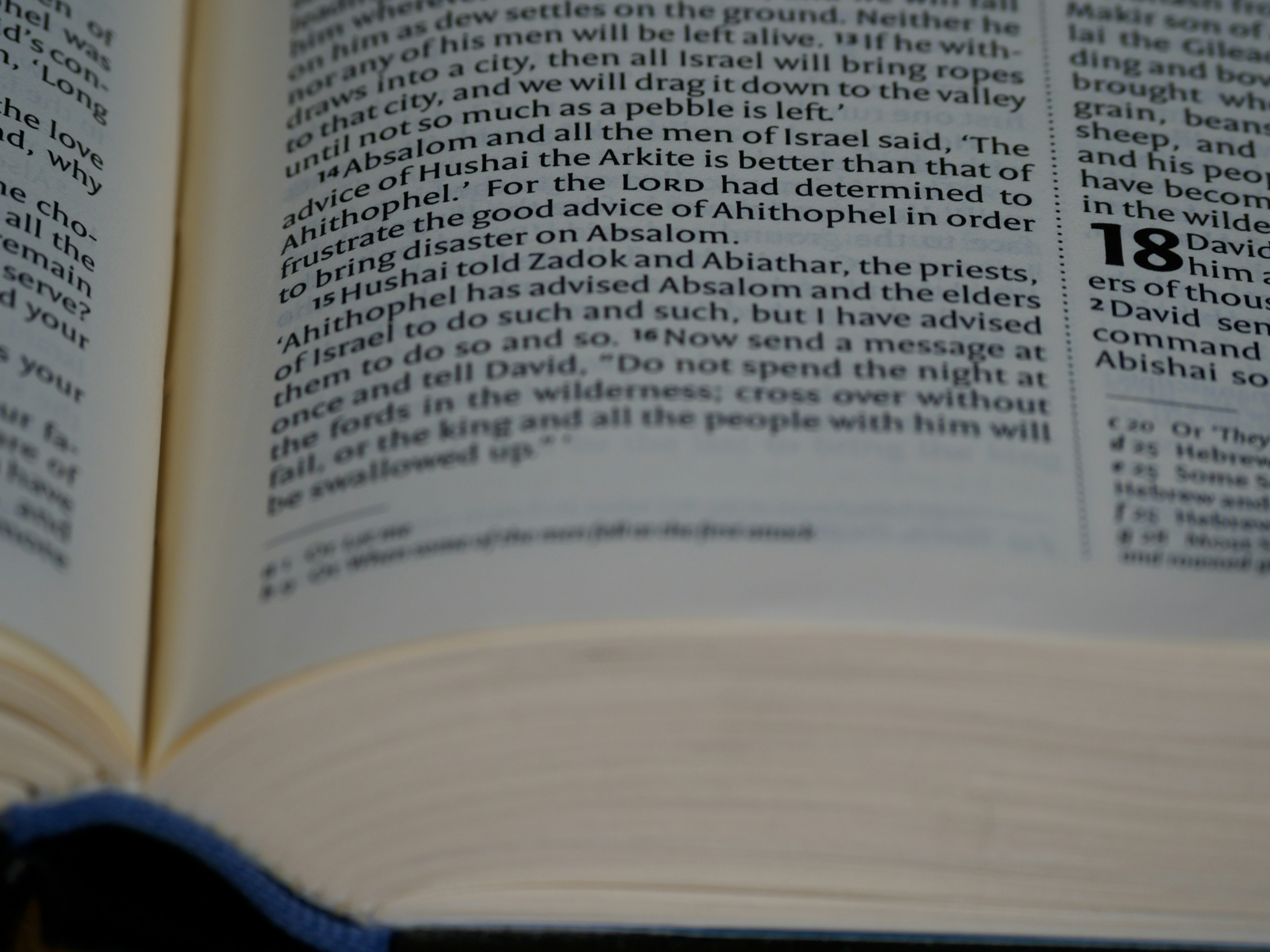 Photo by brett_jordan