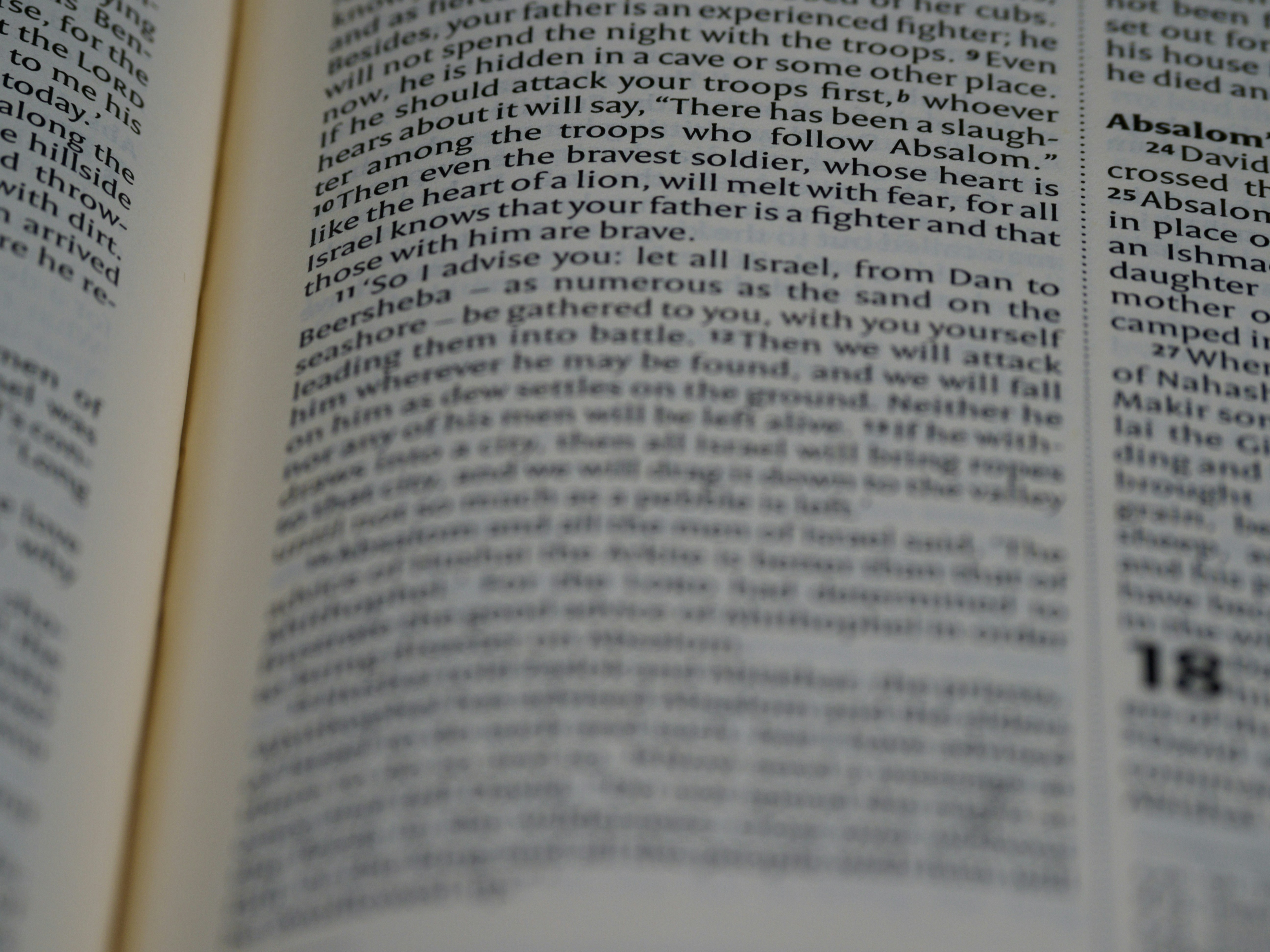 Photo by brett_jordan