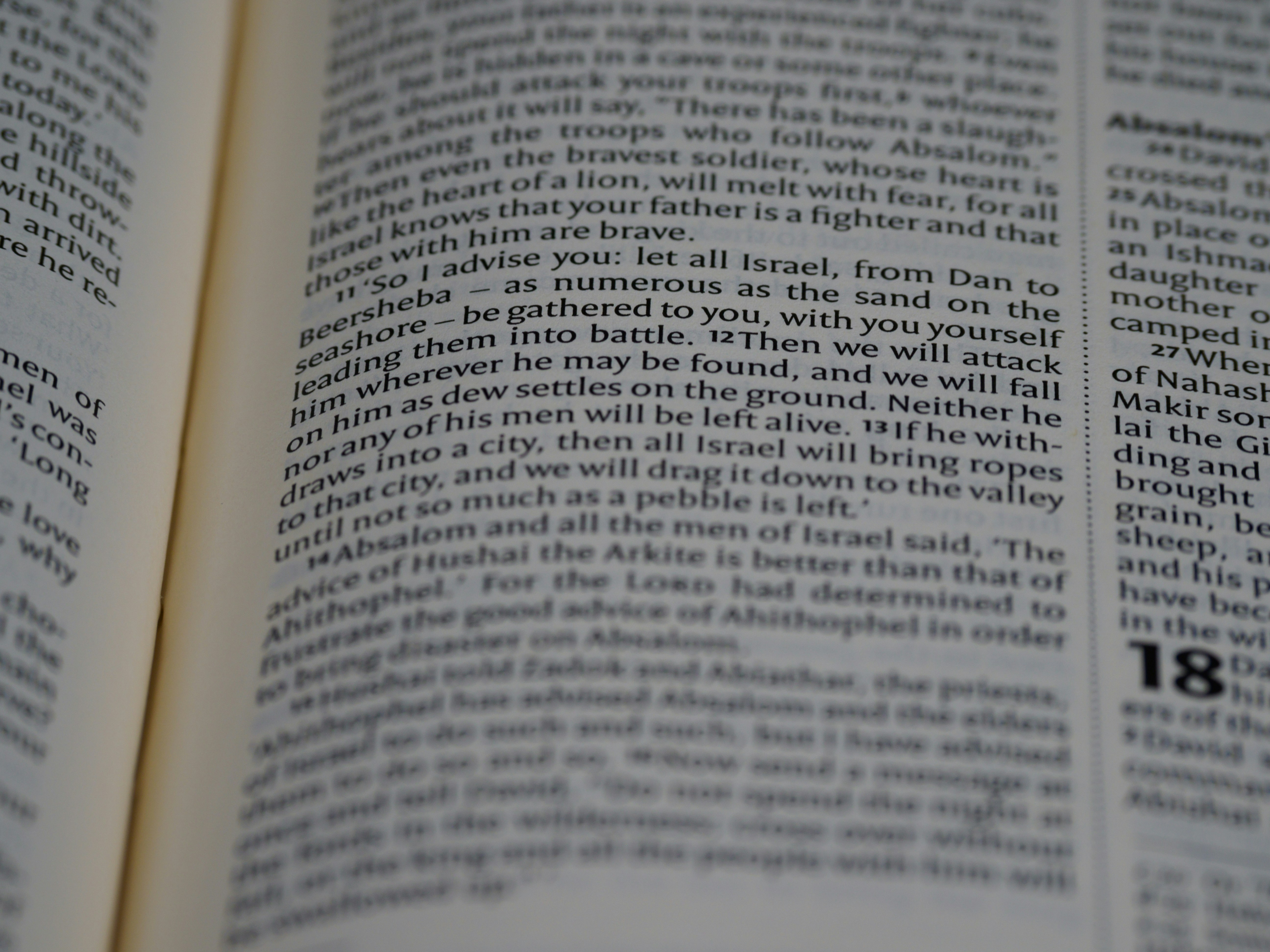 Photo by brett_jordan