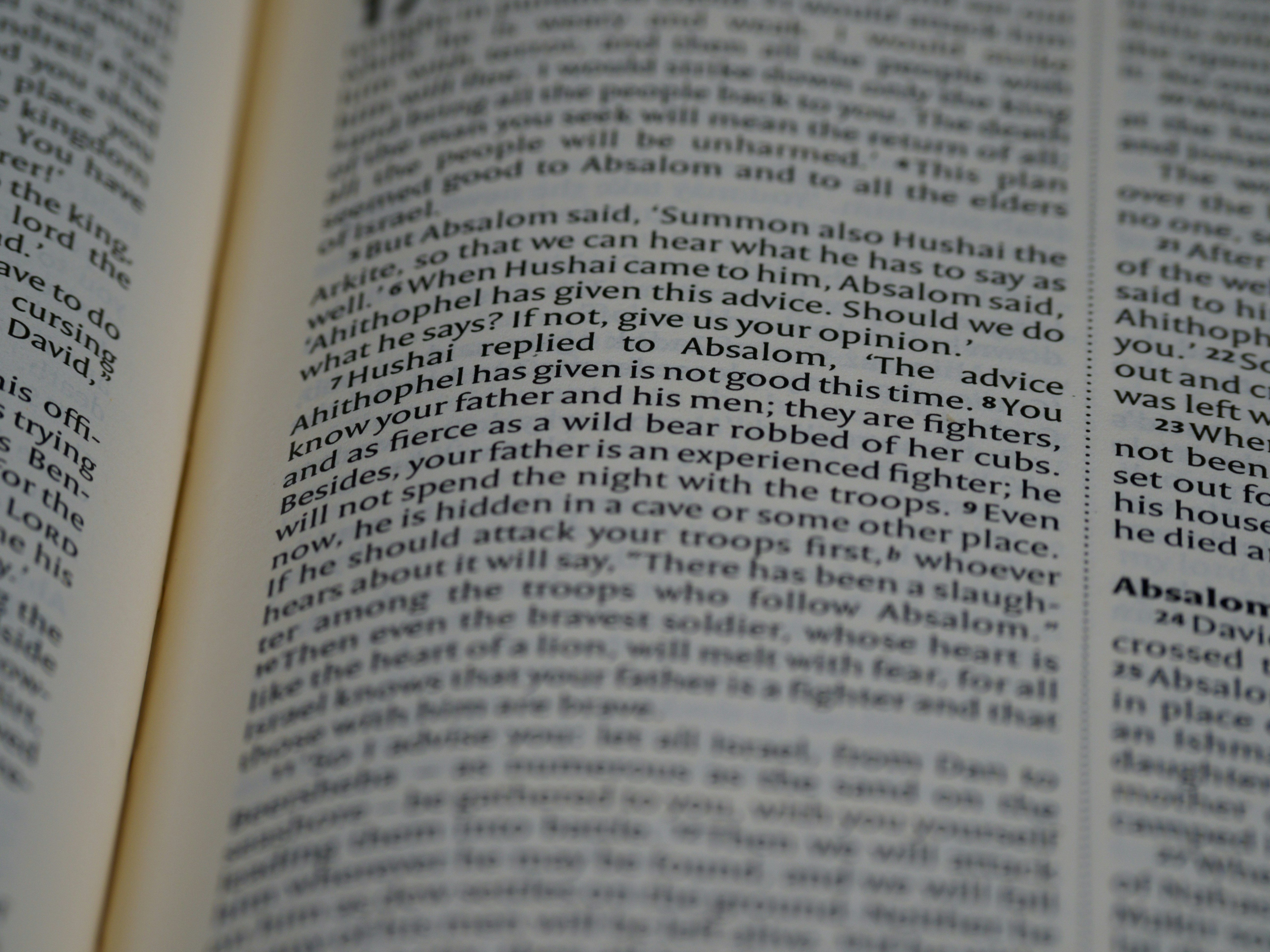 Photo by brett_jordan