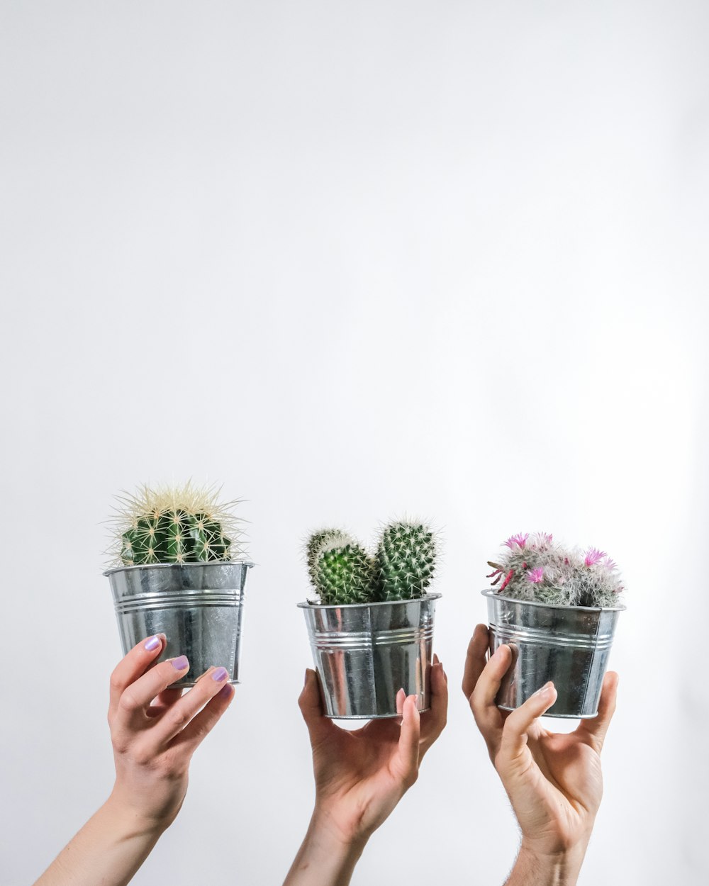 person holding stainless steel cup with green and pink flowers