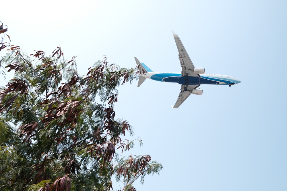 white and blue airplane flying over green trees during daytime