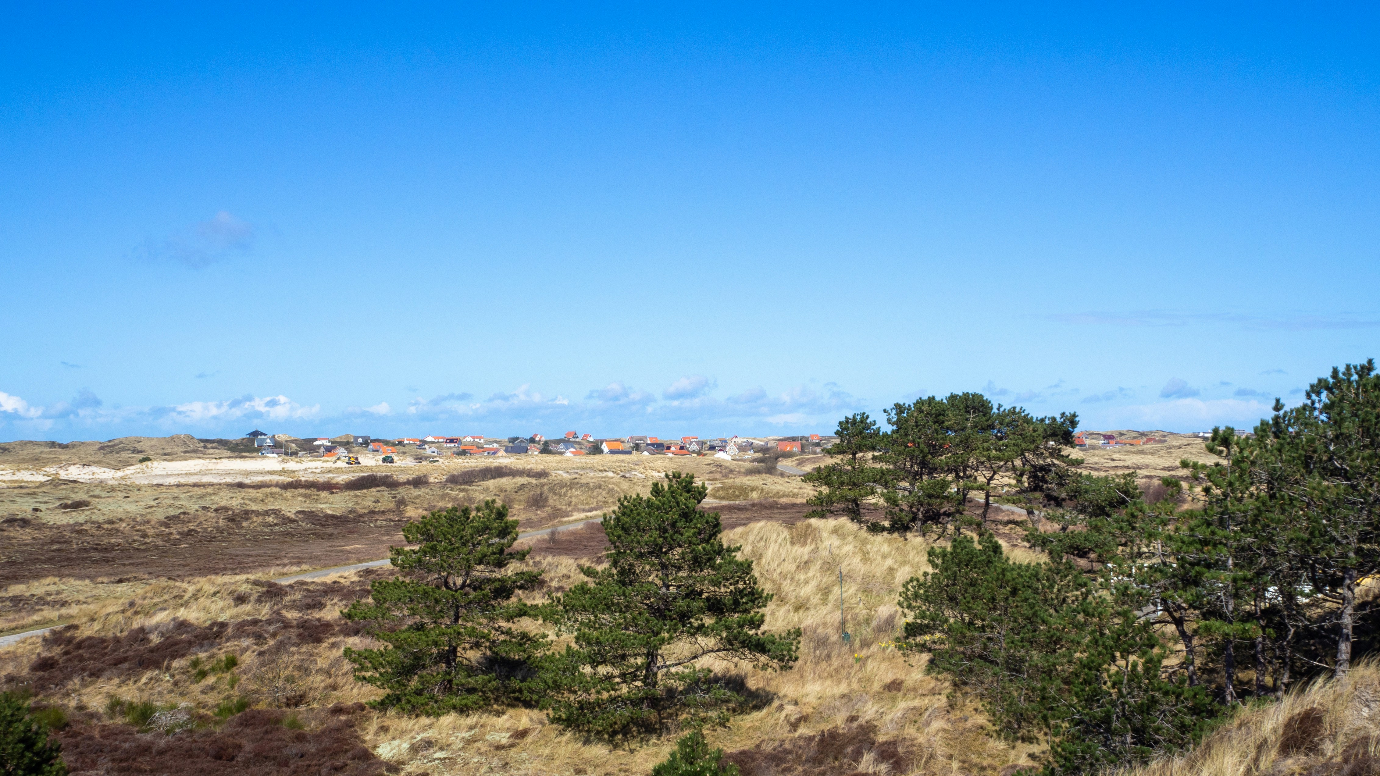 Photo by wimvanteinde