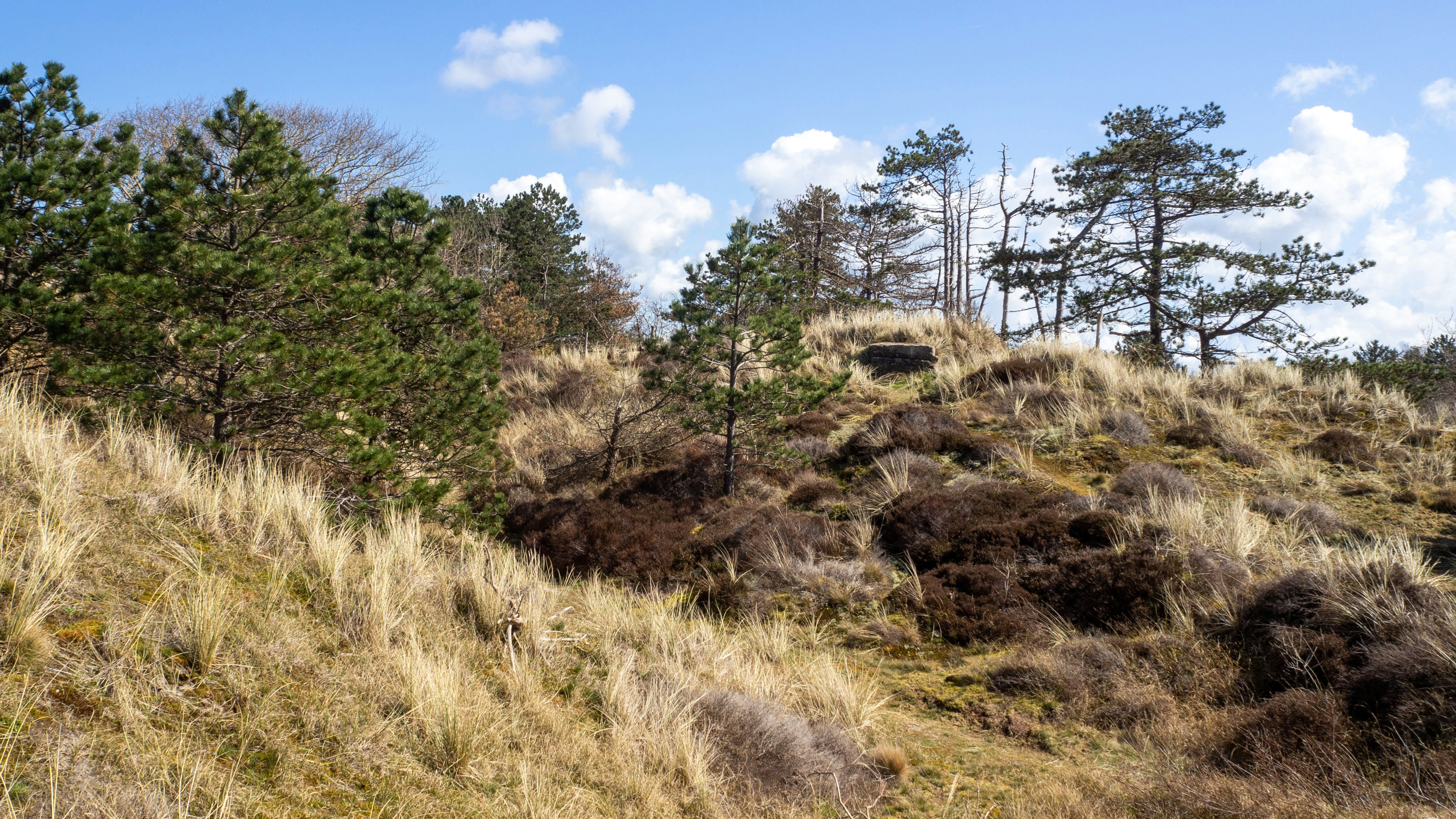 Wickiup Hill Natural Area